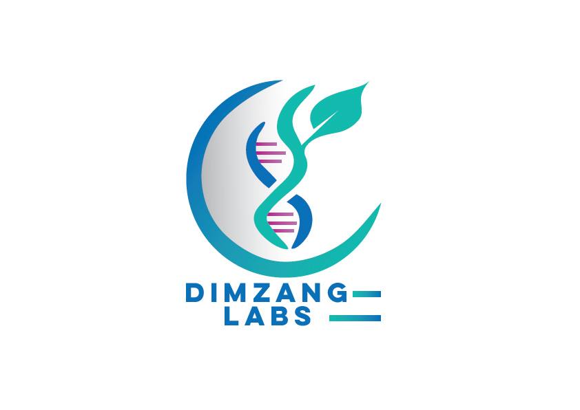 Dimzang Labs project